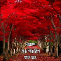 '"사랑해요"라고 말' 글에 포함된 이미지