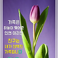 '모두들 힘내시고 화이' 글에 포함된 이미지