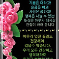 '새로운 한주가 시작되' 글에 포함된 이미지