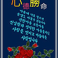 '감사가 있는곳엔 늘 ' 글에 포함된 이미지