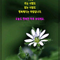 '세상의 흐름이 고르지' 글에 포함된 이미지