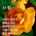'안녕하세요? 몇일 남' 글에 포함된 이미지