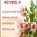 '용서는 당신을불행함' 글에 포함된 이미지