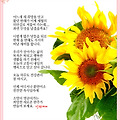 '' 글에 포함된 이미지