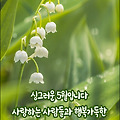 '우리가 늘 가까이 있' 글에 포함된 이미지