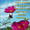 '남의 의견을 받아들이' 글에 포함된 이미지