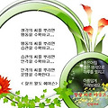 '' 글에 포함된 이미지