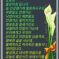 '6월의 마지막 기분좋' 글에 포함된 이미지