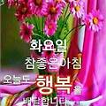 '안녕하세요? 즐겁고 ' 글에 포함된 이미지