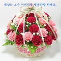 '' 글에 포함된 이미지