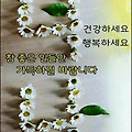 '최선을 다하는 겁니다' 글에 포함된 이미지