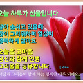 '' 글에 포함된 이미지