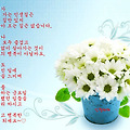 '' 글에 포함된 이미지