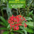 '인생의 시계는 단 한 ' 글에 포함된 이미지