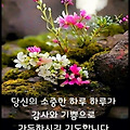 '자연스러운 노화현상' 글에 포함된 이미지