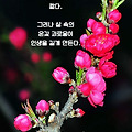 '자신의 삶이 무겁고 ' 글에 포함된 이미지