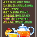 '안녕하세요?좋은 아침' 글에 포함된 이미지
