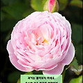 '어제는 친구였던 사람' 글에 포함된 이미지