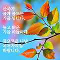 '' 글에 포함된 이미지