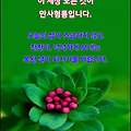 '우리에게 정말 소중한' 글에 포함된 이미지