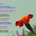 '' 글에 포함된 이미지