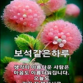 '선택은 회피하고 싶다' 글에 포함된 이미지