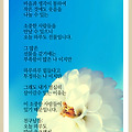 '' 글에 포함된 이미지