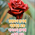 '나에게는 희망도 있지' 글에 포함된 이미지