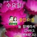 '안녕하세요? 오늘도 ' 글에 포함된 이미지