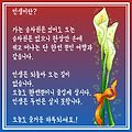 '새로운 하루가 시작되' 글에 포함된 이미지