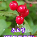 '안녕하세요?행복한 하' 글에 포함된 이미지