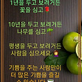 '코로나19로 조금은 지' 글에 포함된 이미지