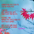 '' 글에 포함된 이미지