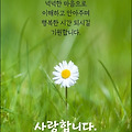 '행복은 어디서 오는 ' 글에 포함된 이미지