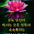 '우정이란?친구를 믿고' 글에 포함된 이미지