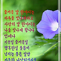'새상의모든 희망은언' 글에 포함된 이미지