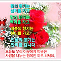 '' 글에 포함된 이미지