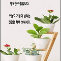 '하루 세끼 먹을 수 있' 글에 포함된 이미지