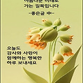 '내가 상상하는 것만큼' 글에 포함된 이미지