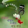 '늘 고마움이 생각나는' 글에 포함된 이미지