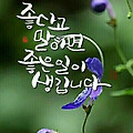 '오후도힘차게 보내요' 글에 포함된 이미지