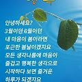 '안녕 하세요!?오늘은 ' 글에 포함된 이미지