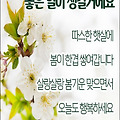 '내가 미워했던 사람도' 글에 포함된 이미지