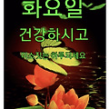 '안녕하세요? 화사하고' 글에 포함된 이미지
