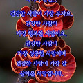 '날씨가 추워요 감기조' 글에 포함된 이미지