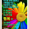 '' 글에 포함된 이미지