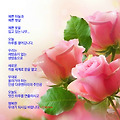'' 글에 포함된 이미지