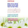 '' 글에 포함된 이미지
