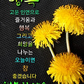 '코로나땜에 친구도 못' 글에 포함된 이미지