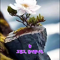 '세상은 좋은 일을 했' 글에 포함된 이미지